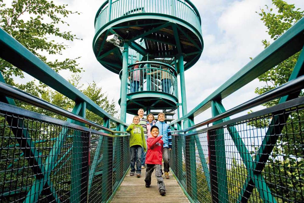 Boomkroonpad, uitjes Landal Het Land van Bartje