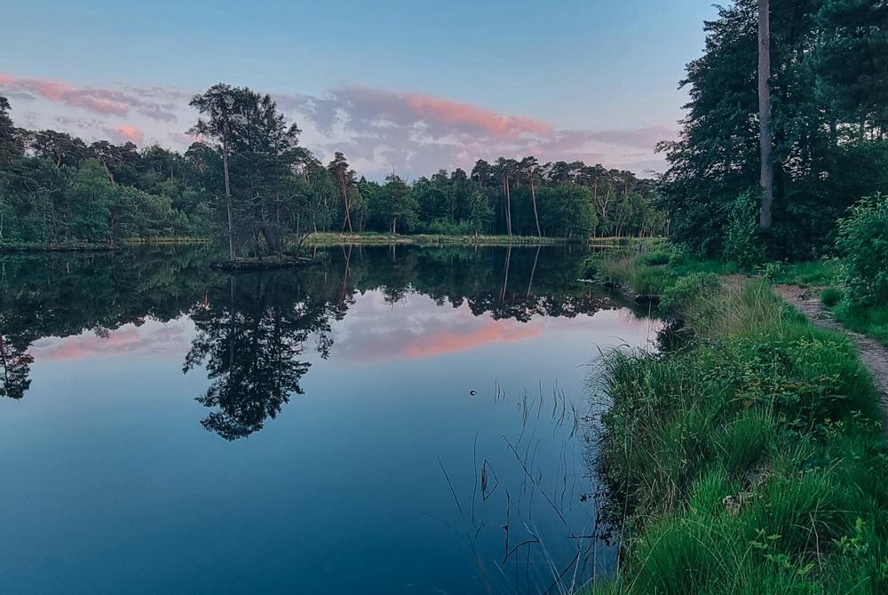Vennen, Landal Klein Oisterwijk