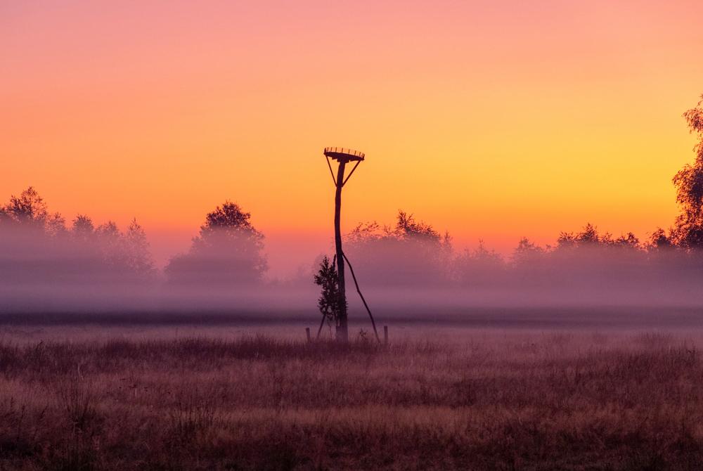 Nationaal Park de Groote Peel