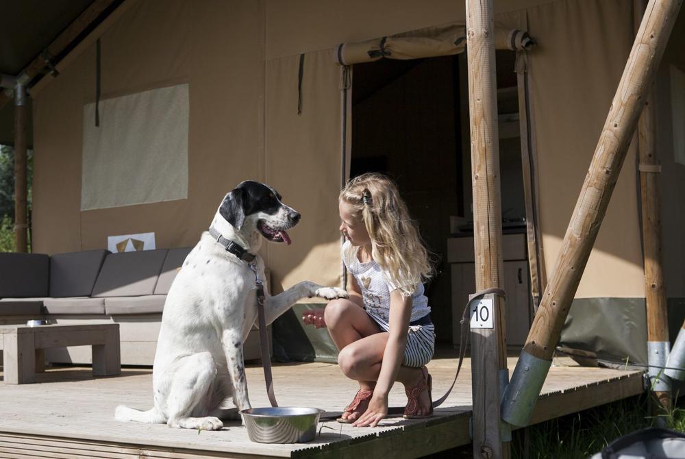 Camping De Boshoek, camping met hond