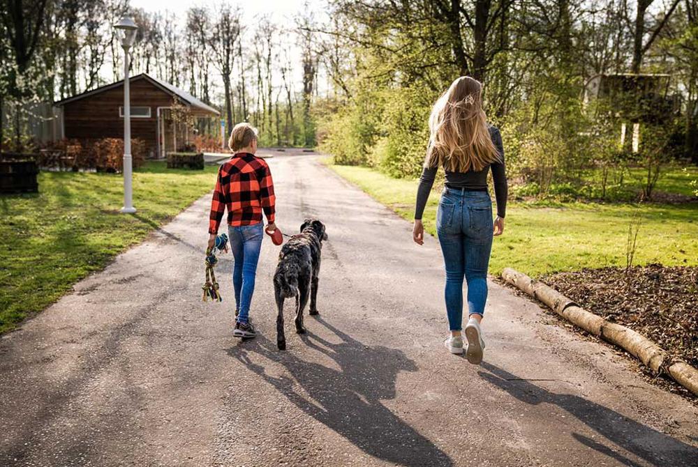 Camping Buytenplaets Suydersee, camping met hond