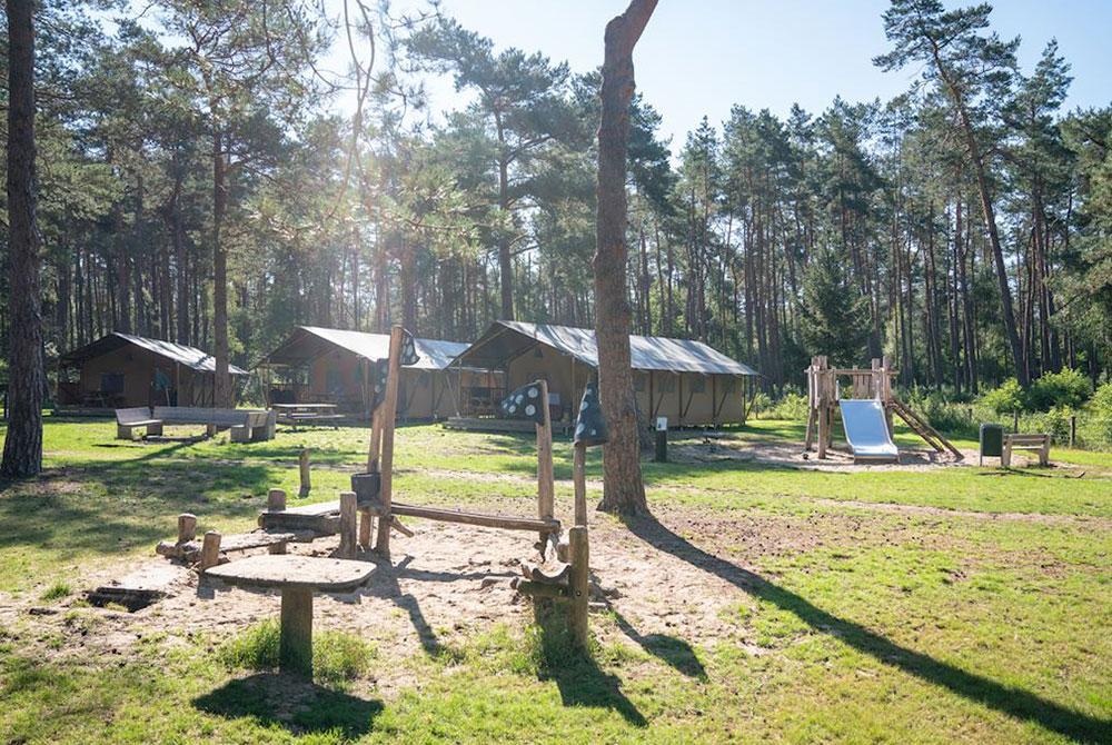 Camping Landal Coldenhove, camping met hond