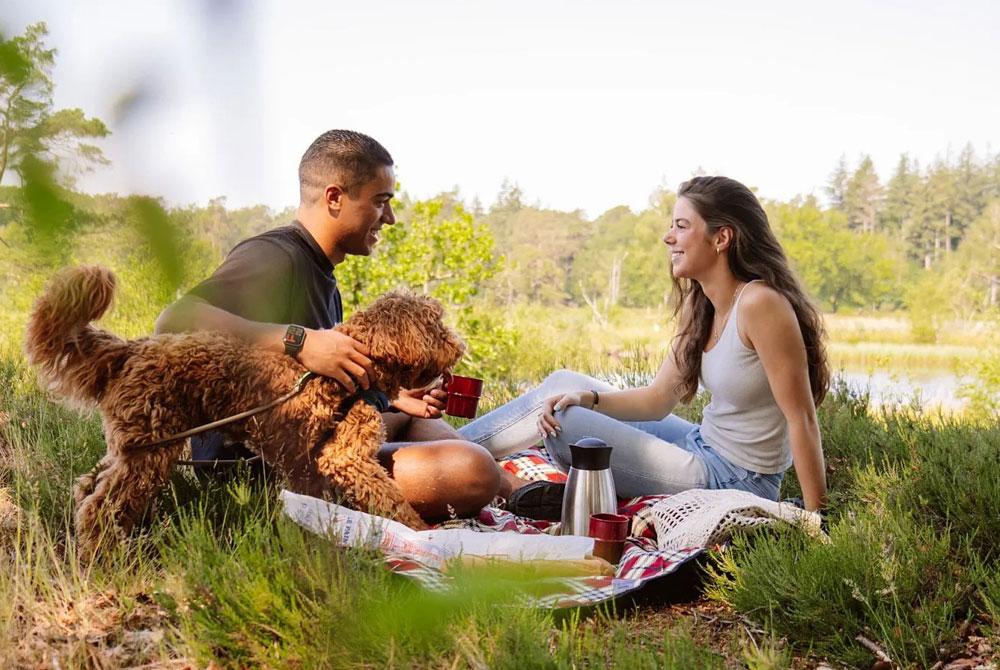 Camping Samoza, camping met hond