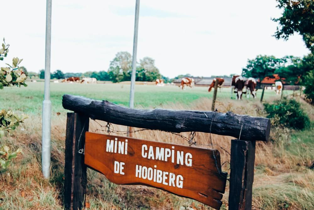 Camping De Hooiberg, kleine campings Nederland