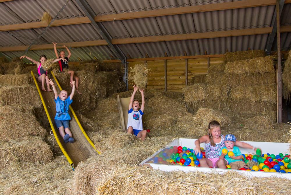 Camping en Hertenboerderij de Weerd, kleine campings Nederland
