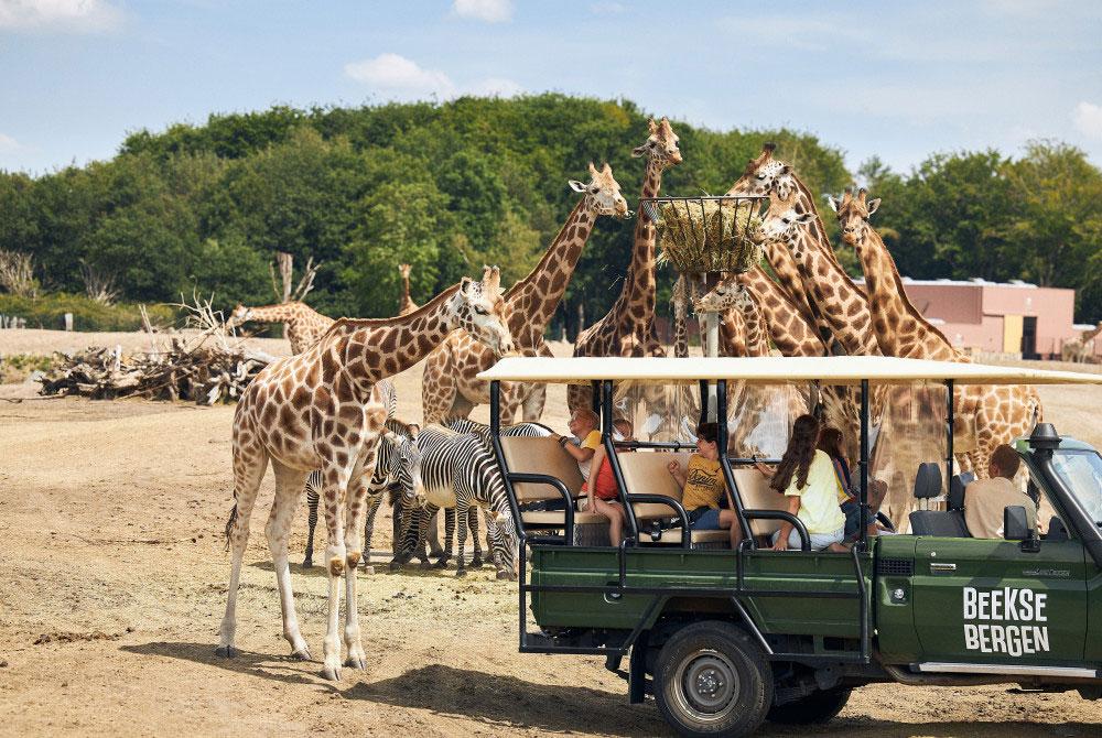 Safaripark Beekse Bergen