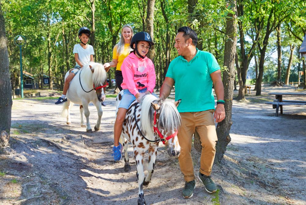 Pony verzorgen op PonyparkCity