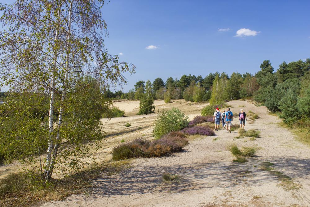 Nationaal Park De Maasduinen, uitjes bij De Lommerbergen
