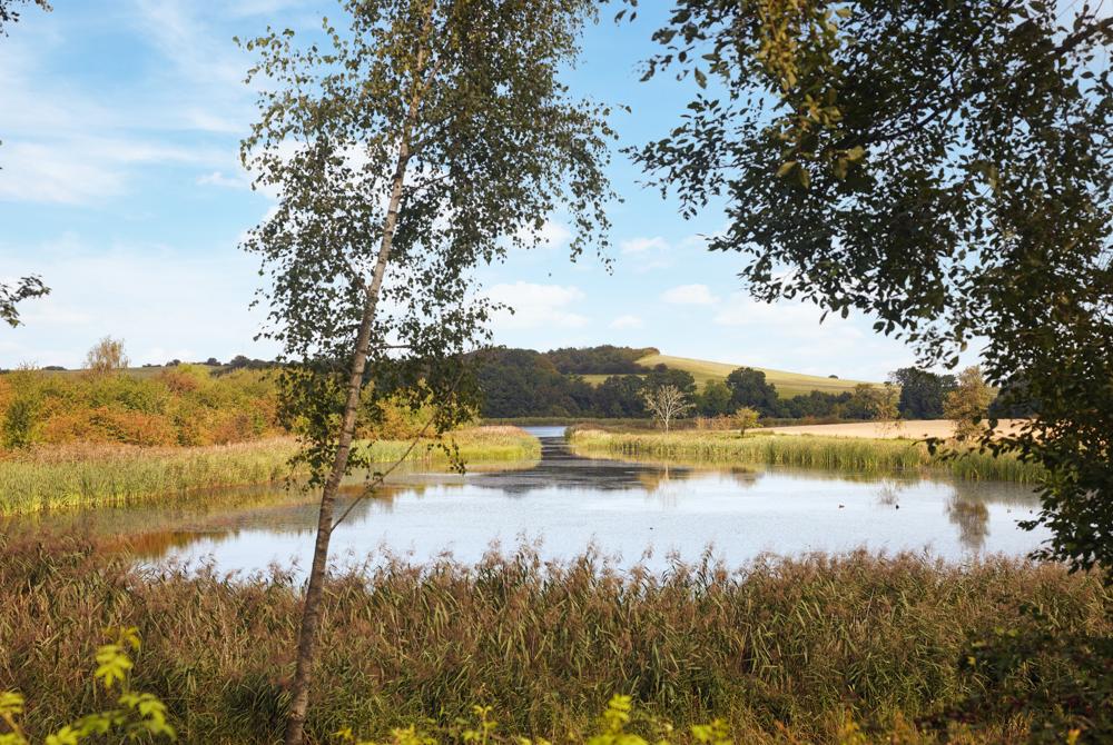 Natuur in Denemarken