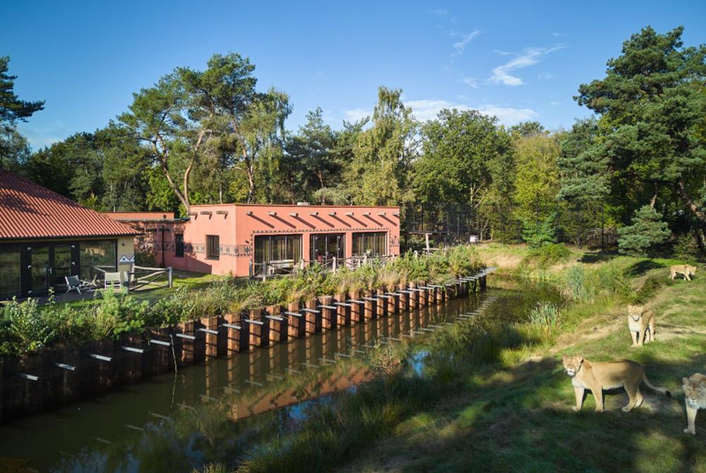 Safari Resort Beekse Bergen, vakantiehuis 14 personen