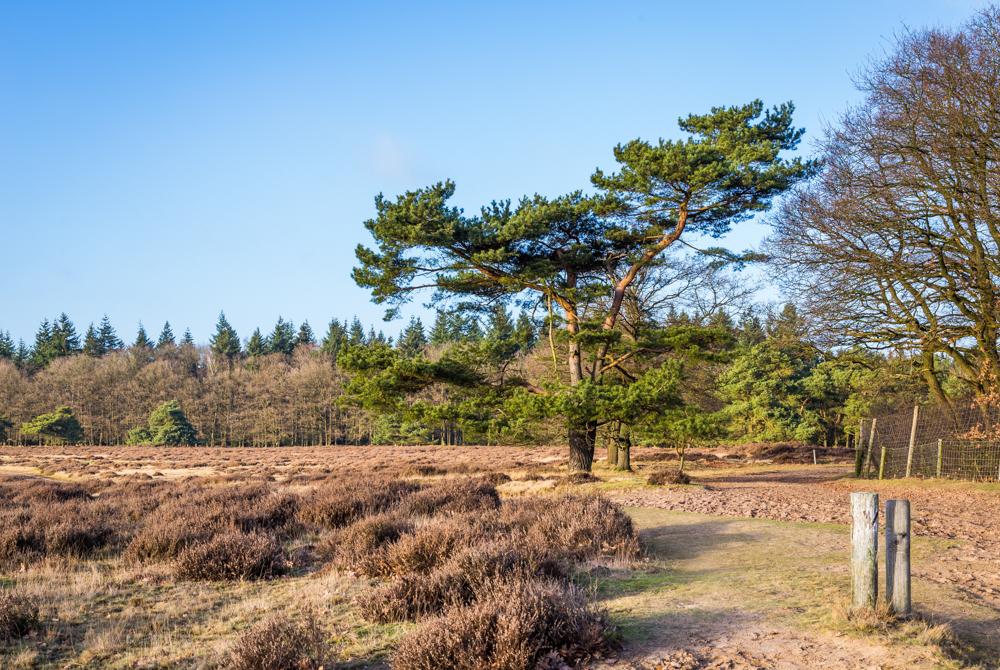 Dagje Veluwe vanuit Apeldoorn
