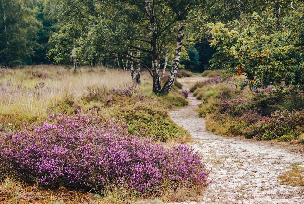 Nationaal Park De Maasduinen, mooiste bezienswaardigheden Noord-Limburg