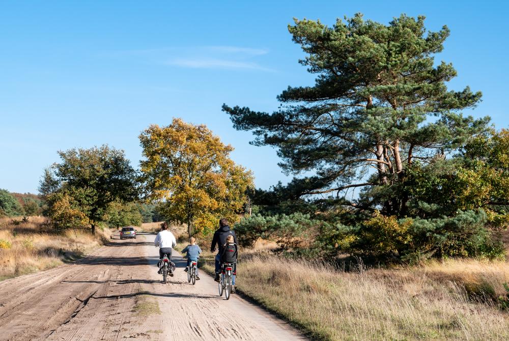 Fietsen op de Veluwe vanuit Landal Landgoed 't Loo