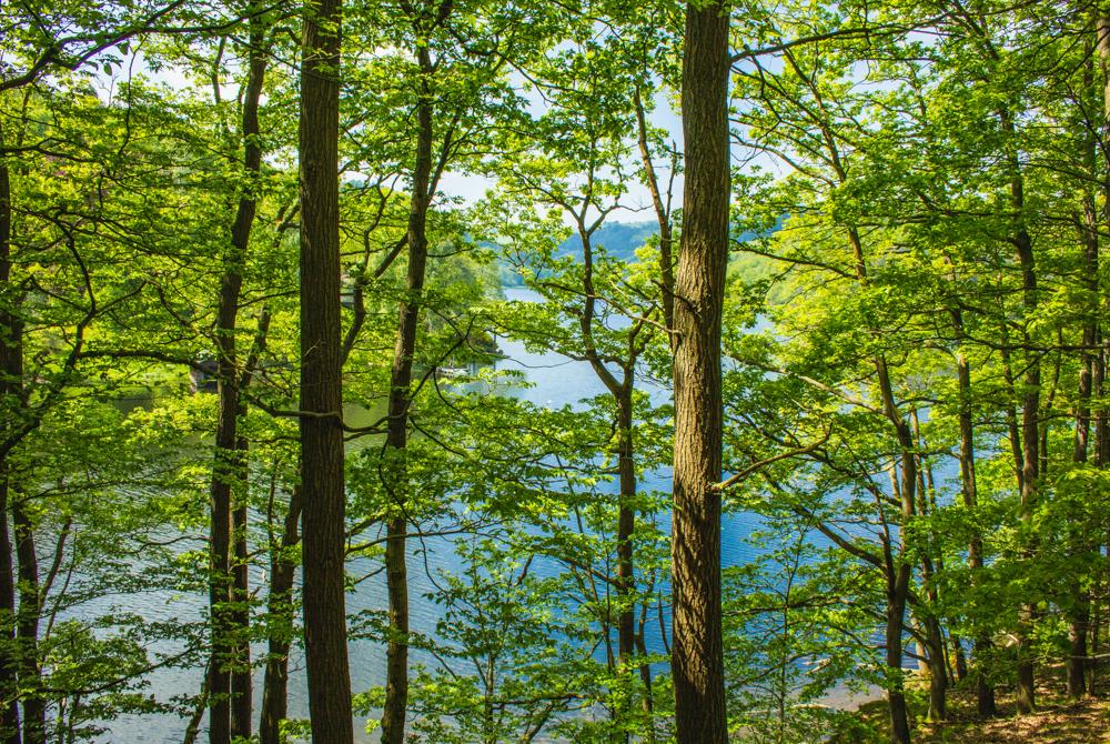 Nationaal Park Eifel, mooiste plekken Noordrijn-Westfalen