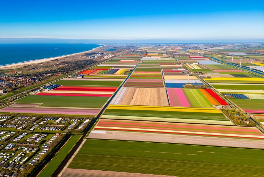 Petten aan Zee, Landal Pettemer Duynen