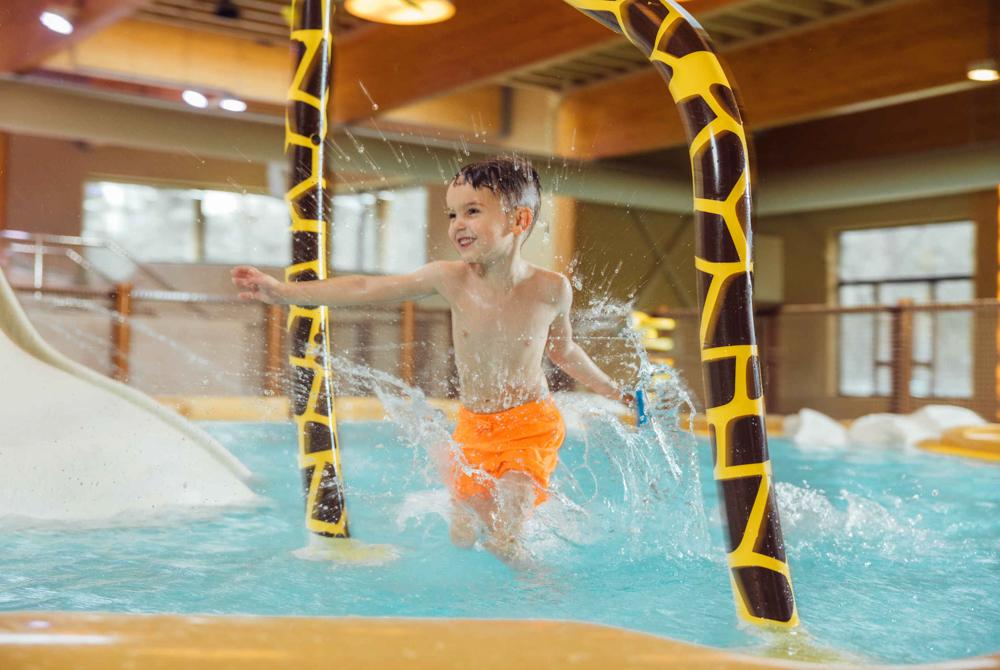 Safari Resort Beekse Bergen, Vakantiepark Noord-Brabant met zwembad