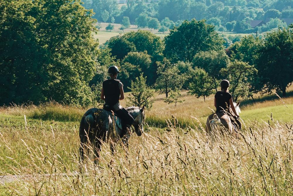 Münsterland mooiste plekken