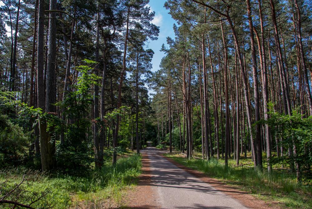 Nationaal Park Vorpommersche Boddenlandschaft, Mecklenburg-Voor-Pommeren
