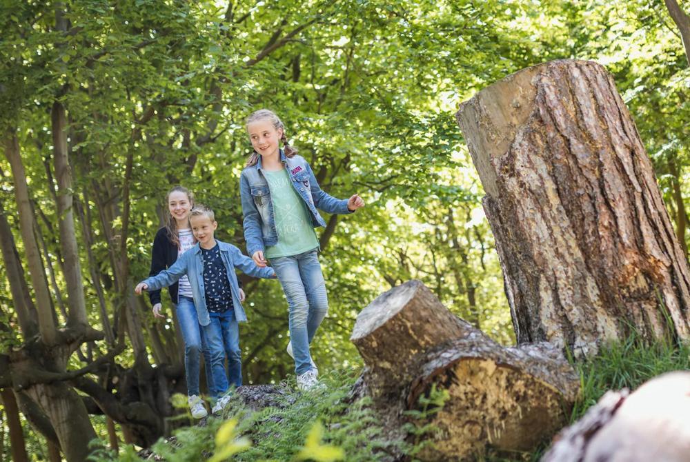 Summio Parc De Berkenhorst, kindvriendelijk vakantiepark Gelderland