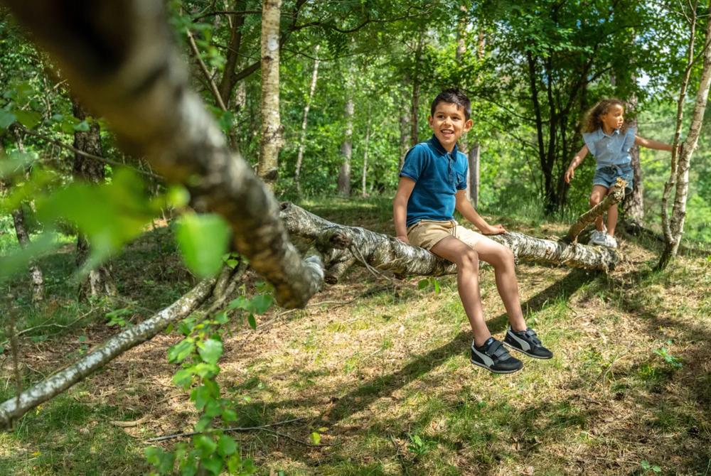 Landal Miggelenberg, kindvriendelijk vakantiepark Gelderland