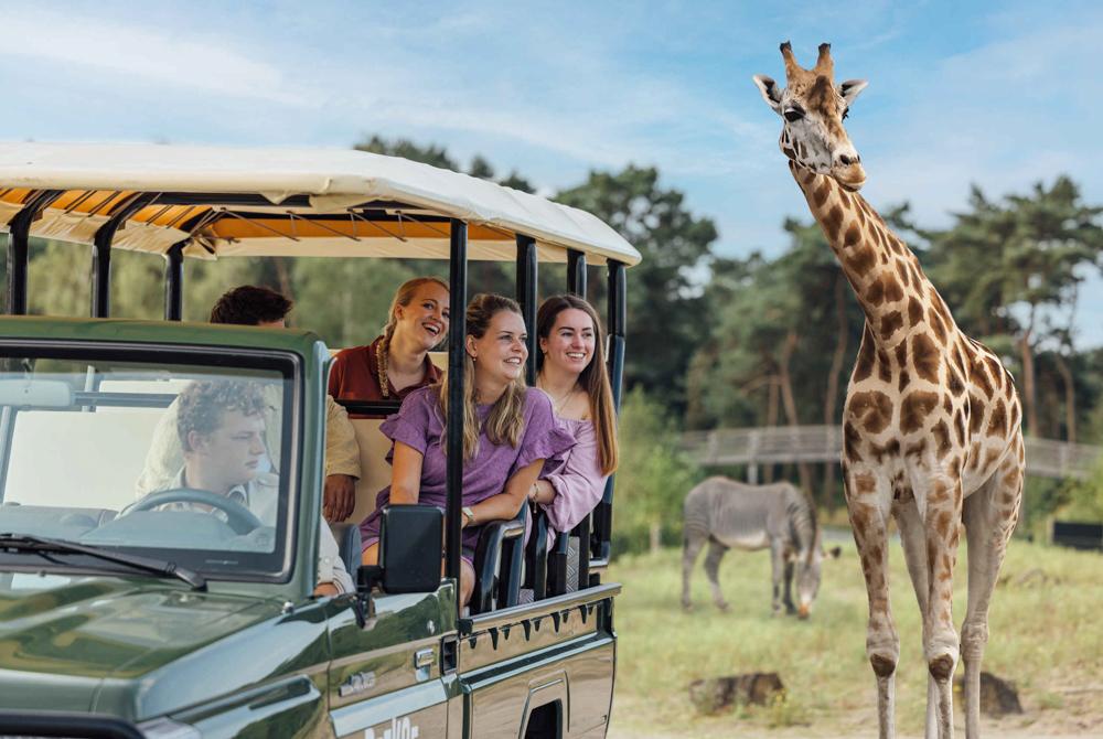 Safari Beekse Bergen, Lake Resort Beekse Bergen