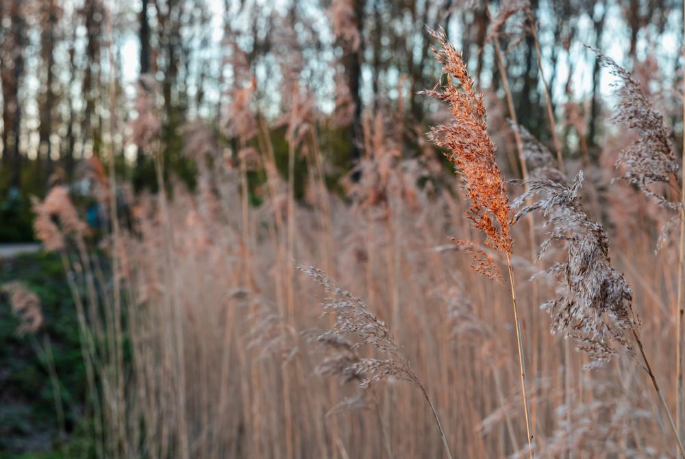 Natuurgebied Oranjezon, Walcheren mooiste plekken