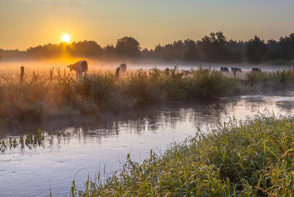 Riviertje de Dinkel in Twente, Landal Olde Kottink review