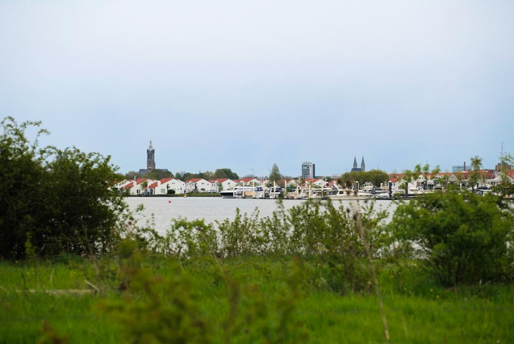 Maasplassen bij Roermond