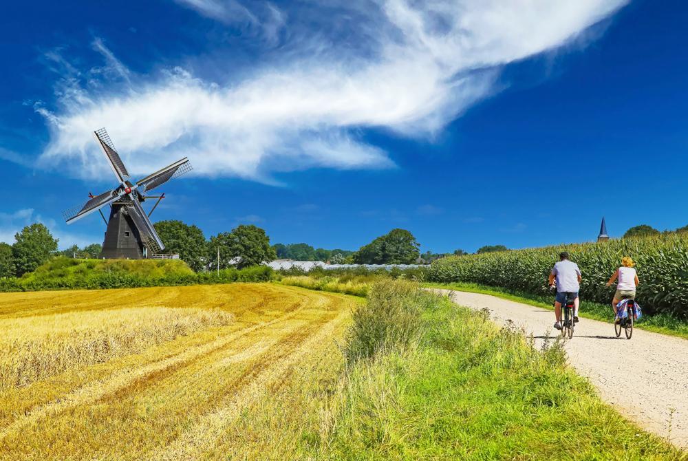 Fiesten bij Roermond