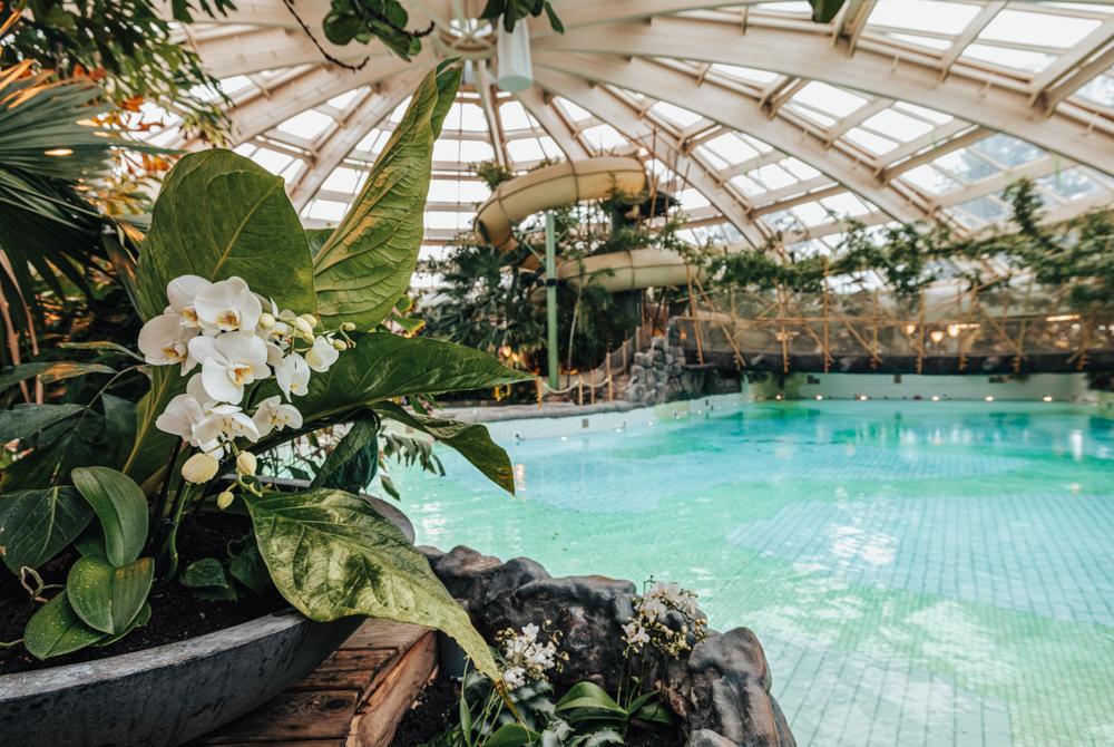 Center Parcs De Huttenheugte, vakantiepark Drenthe met zwembad