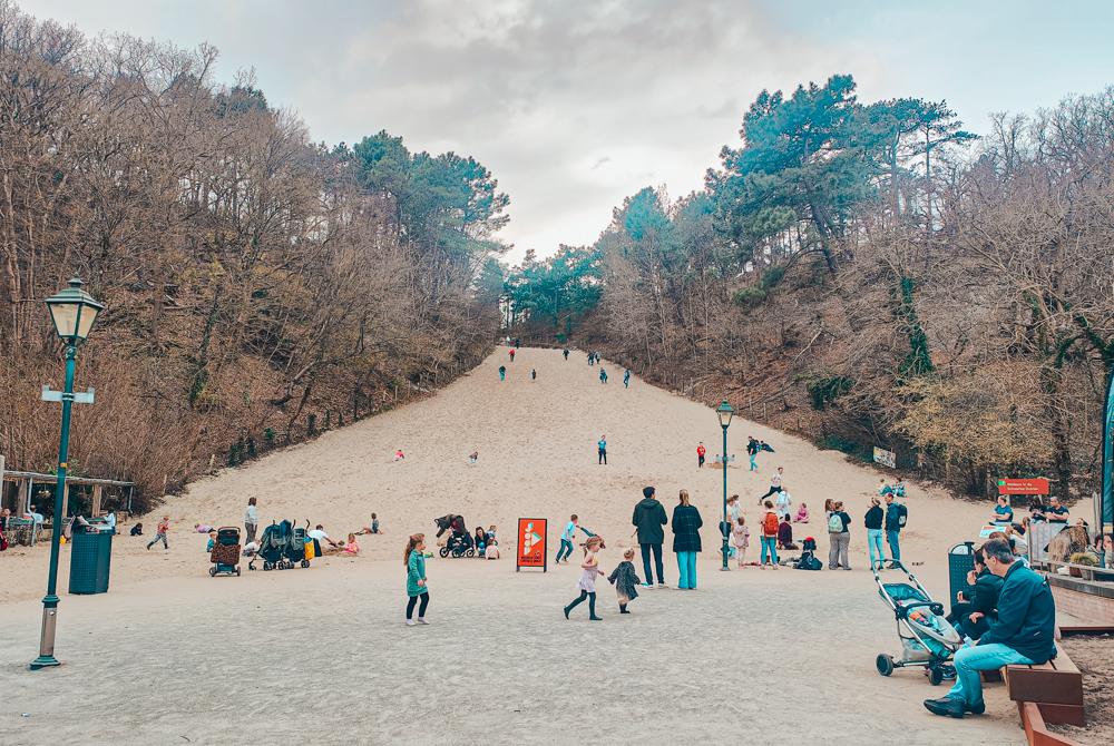 Klimduin van Schoorl, Landal Duynvallei
