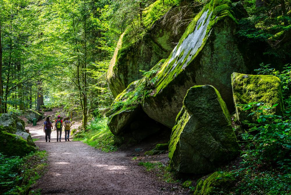 Schwarzwald, natuurgebied Duitsland