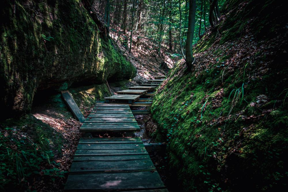 Th&uuml;ringer Woud, natuurgebied Duitsland