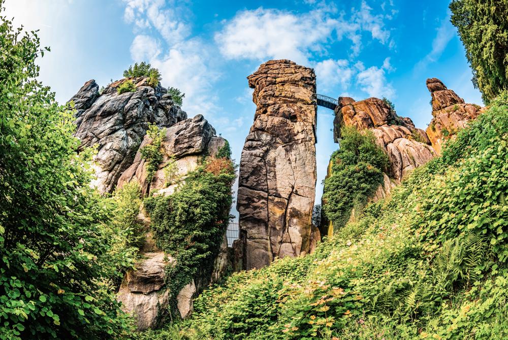 Teutoburger Woud, natuurgebied Duitsland
