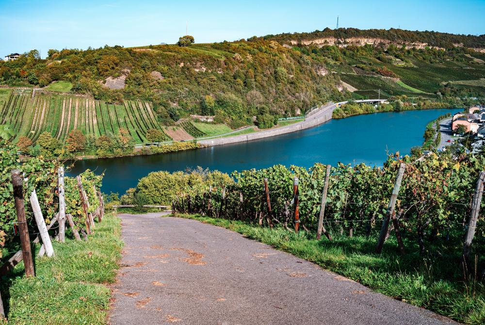 Moezeldal, natuurgebied Duitsland