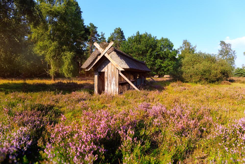 Naturpark Wildeshausener Geest, natuurgebied Duitsland