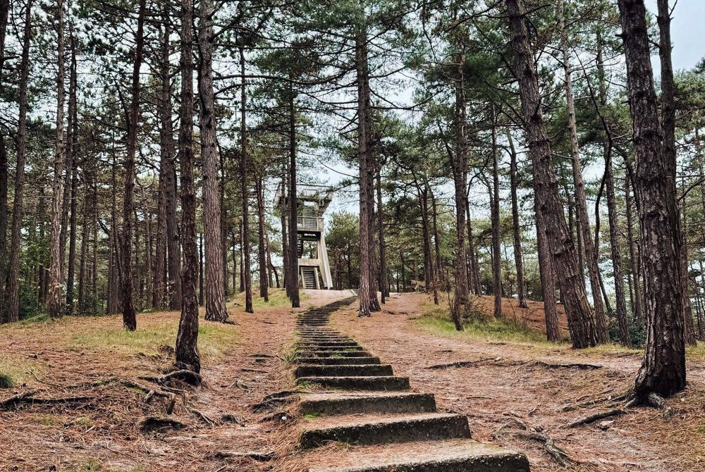 Fonteinsnol, kinderuitje op Texel