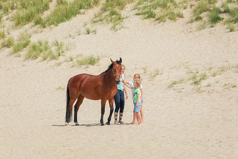 Paardrijden op Texel