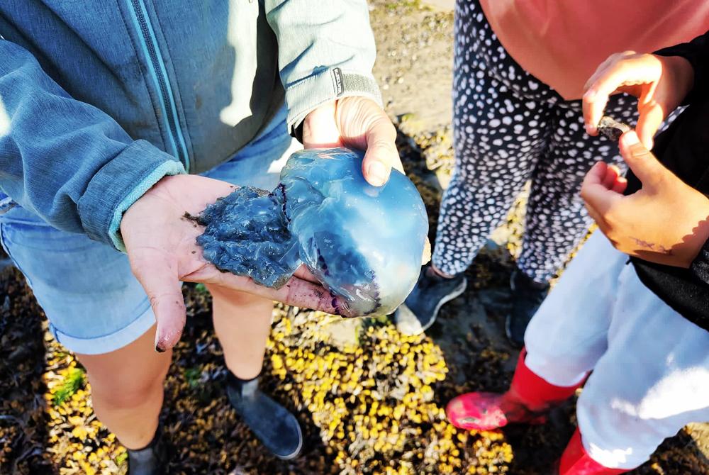 Wadlopen, kinderuitje op Texel