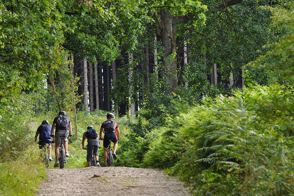 Ardennen, Landal Namur Nature