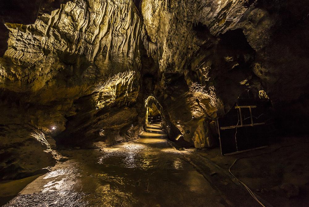 Grotten van Han, Landal Namur Nature