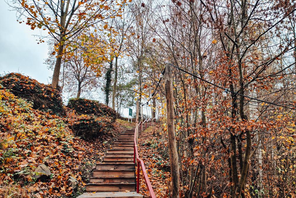 Landal Glamping Resort Namur Nature