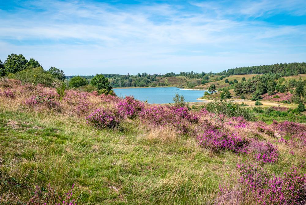 Mechelse Heide, mooiste plekken Zuid-Limburg