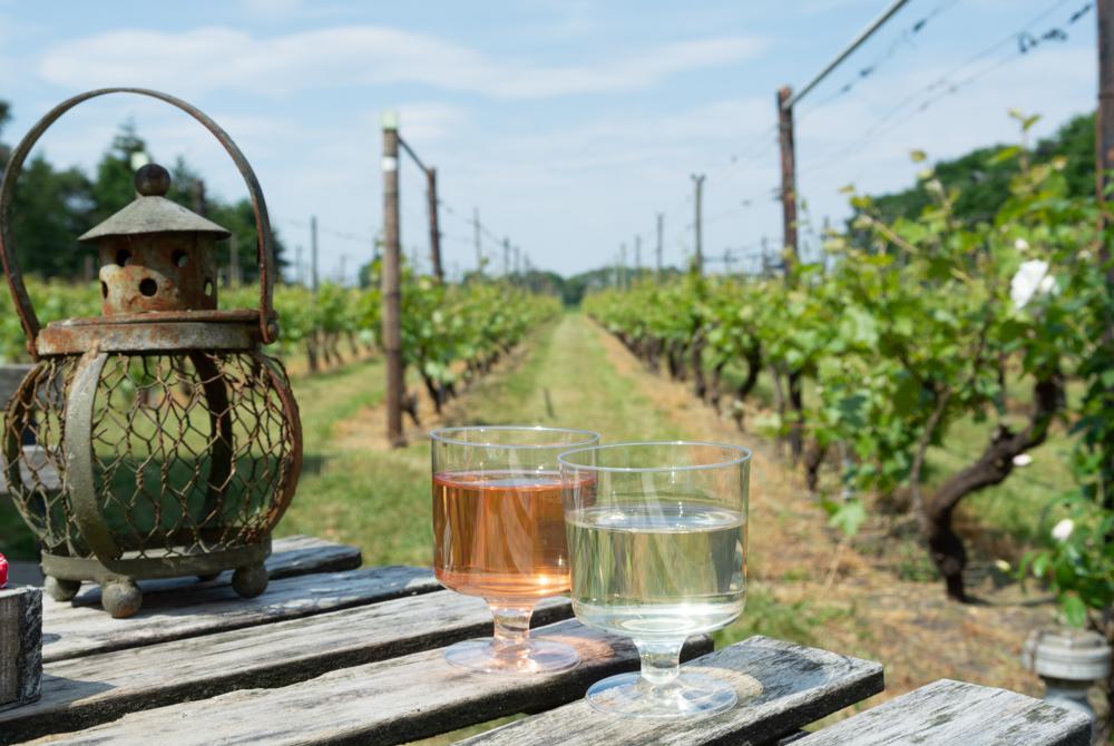 Wijngaard, mooiste plekken Zuid-Limburg