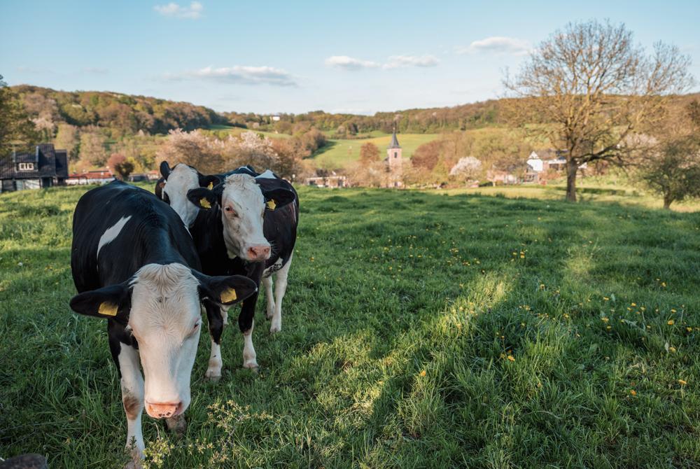 Slenaken, mooiste plekken Zuid-Limburg