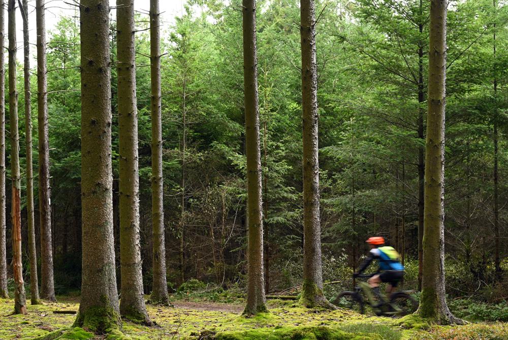 Mountainbiken in de Ardennen