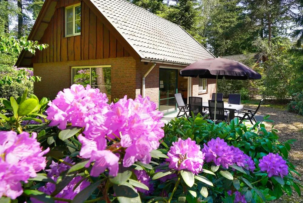 Villapark Eureka, luxe vakantiepark Overijssel