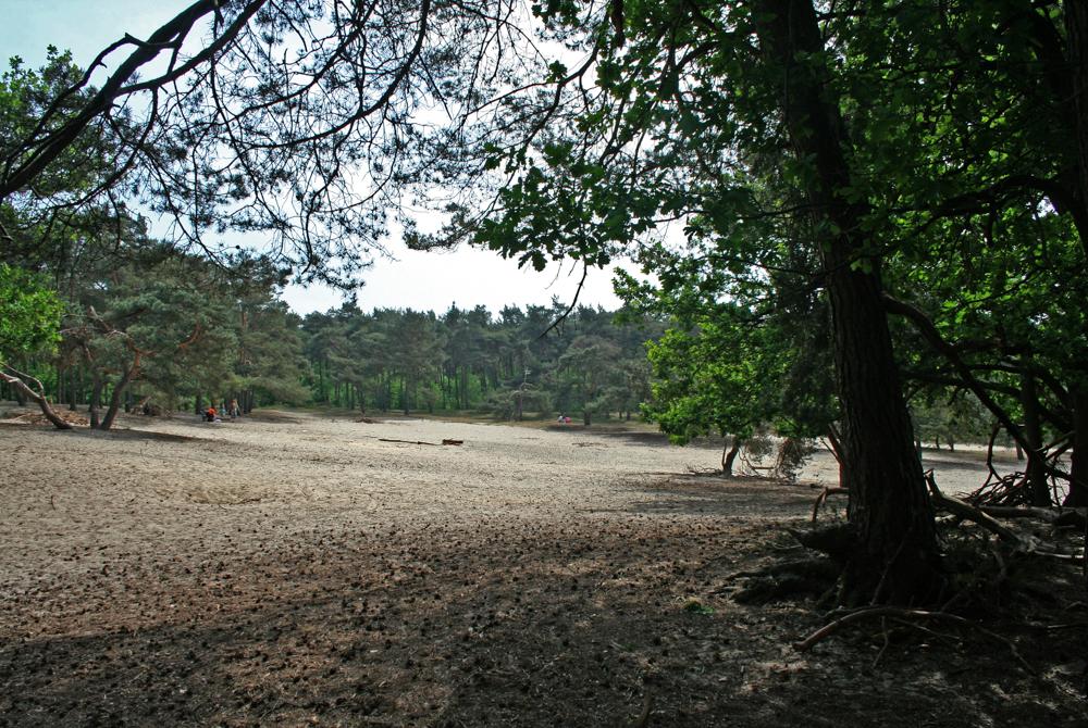 Teteringse Bossen, Landal De Katjeskelder