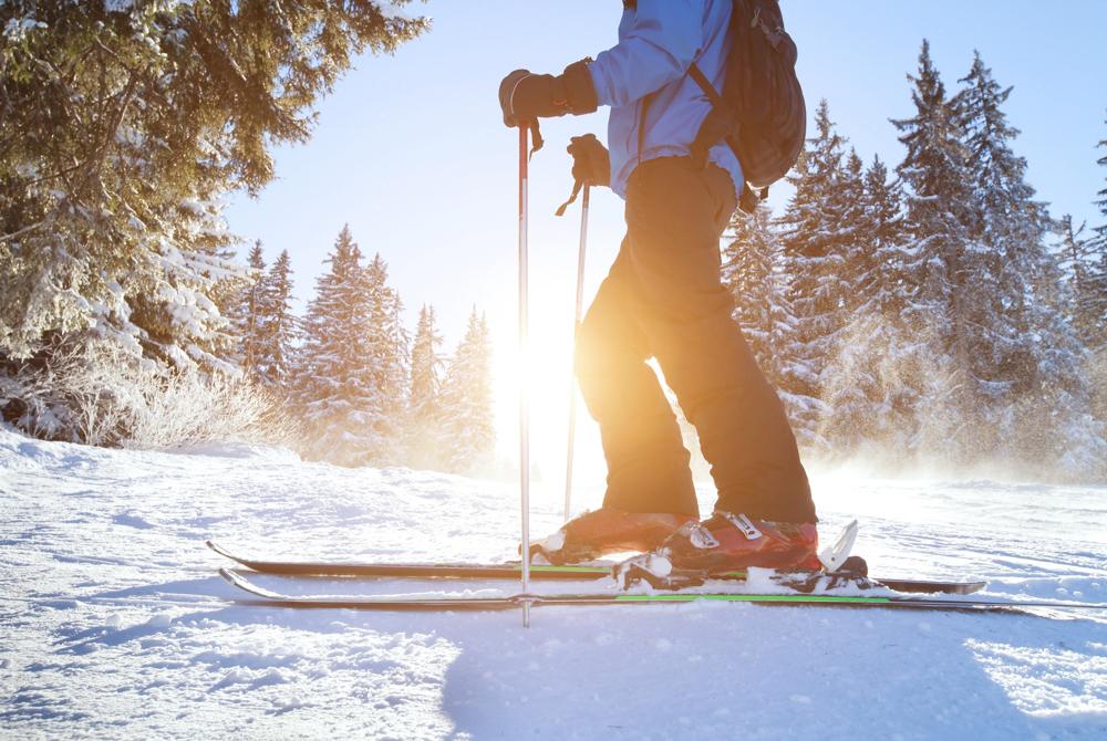 Skiën Landal Arber