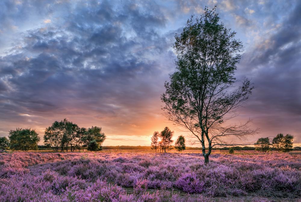 Natuur, Eindhoven